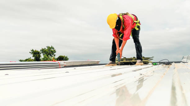 Best Roof Moss and Algae Removal  in Fairfax, OH
